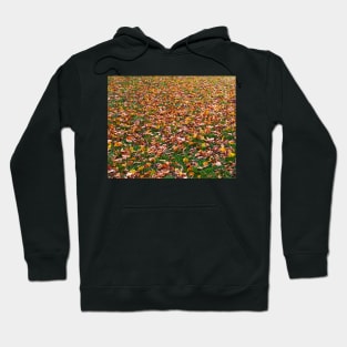 Autumn Leaves Hoodie